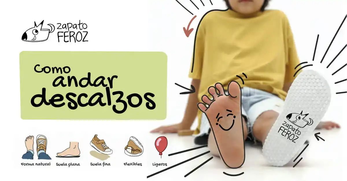 catalogo de Zapato Feroz