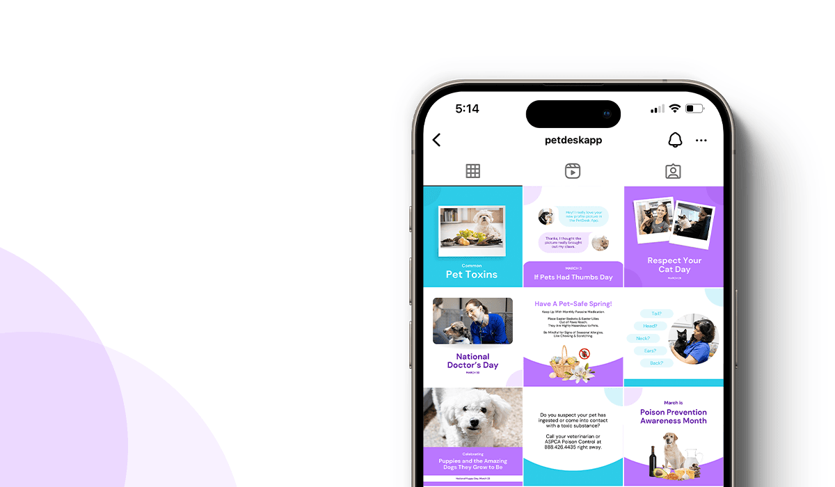 Spring Social Media Posts|PetDesk's poison prevention month social posts