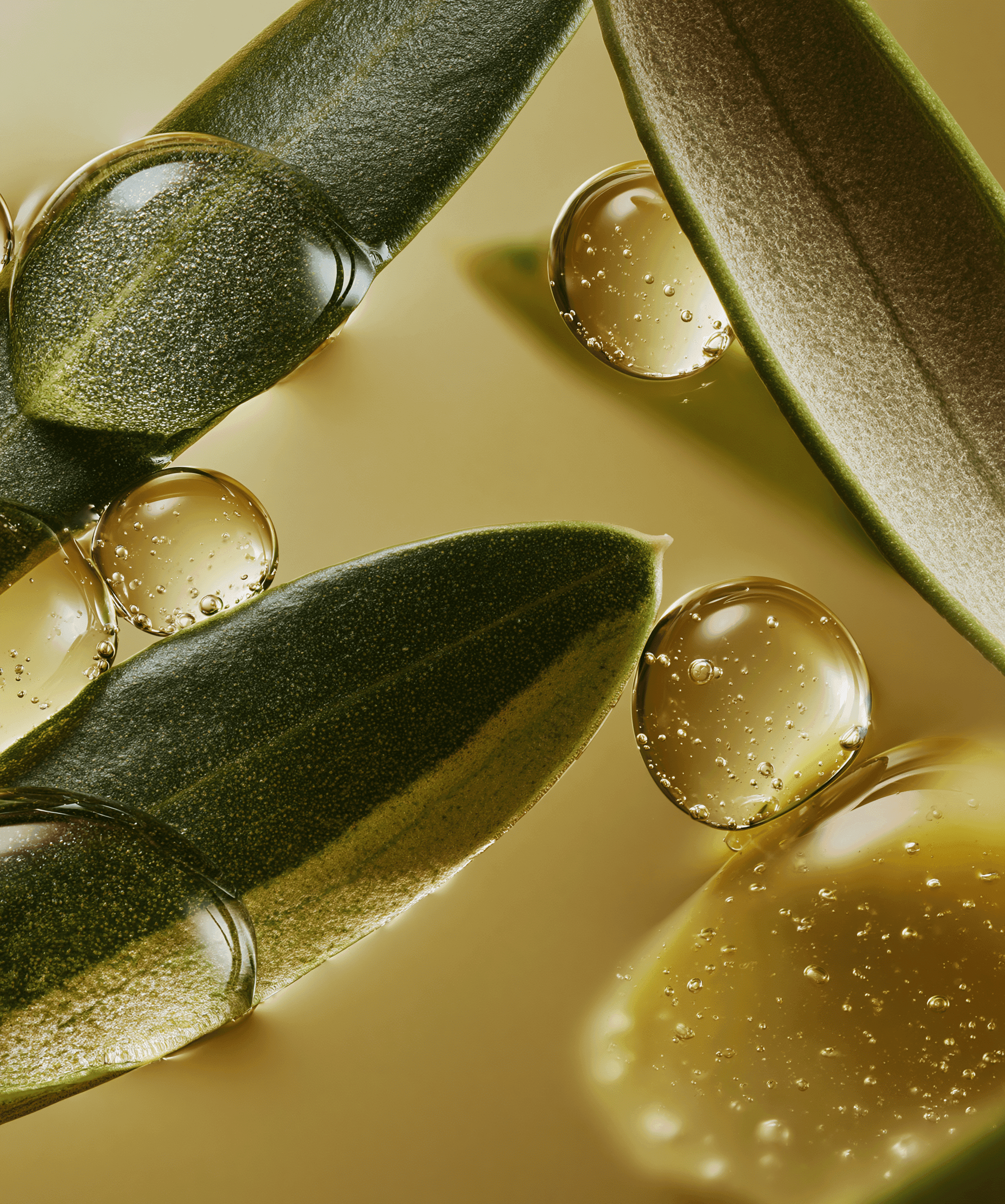 Still life of botanical skincare products with amber glass bottles, natural creams, oils, and fresh green leaves arranged under soft natural light.