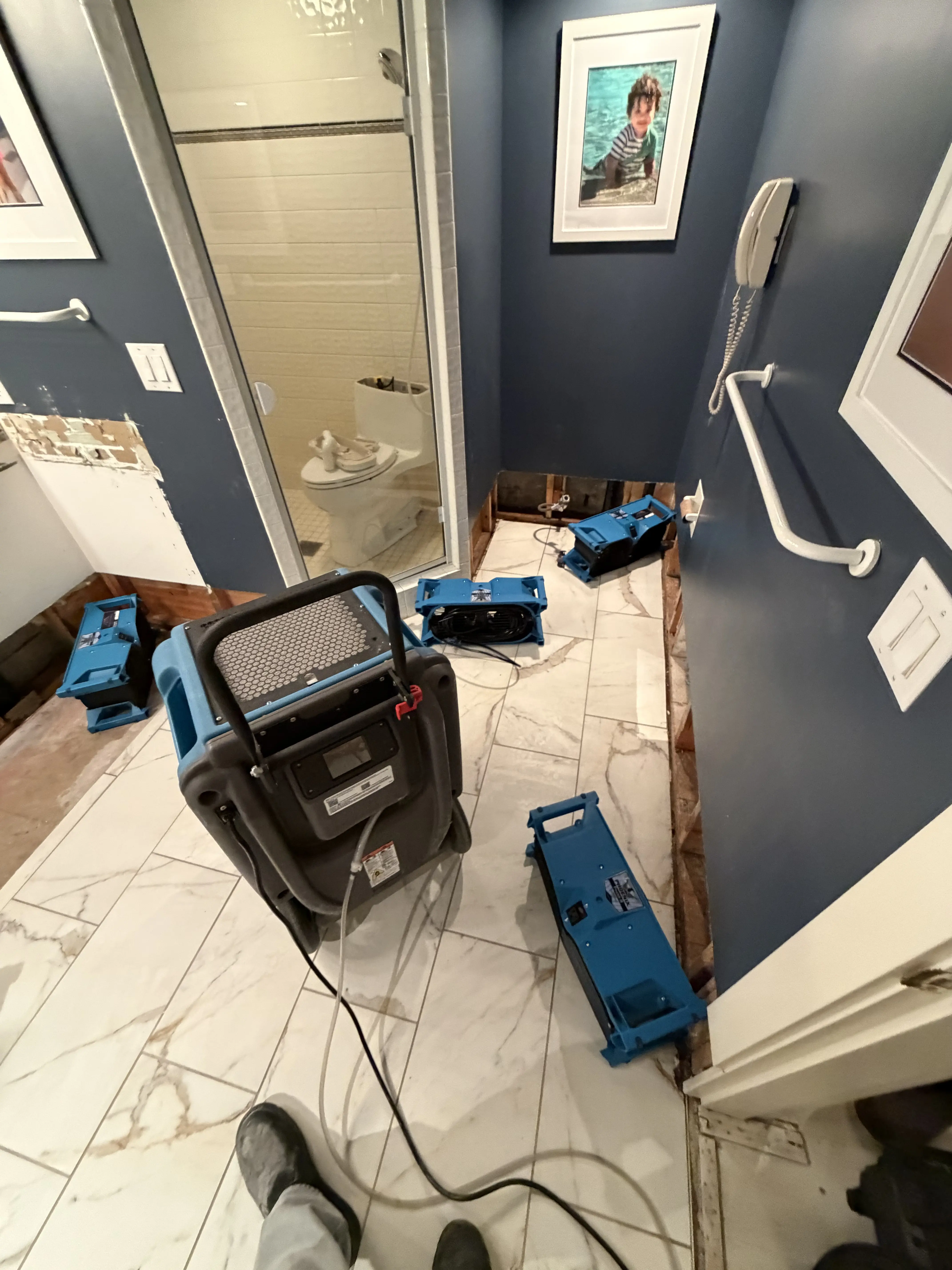 Water Damage Restoration In Seattle, WA