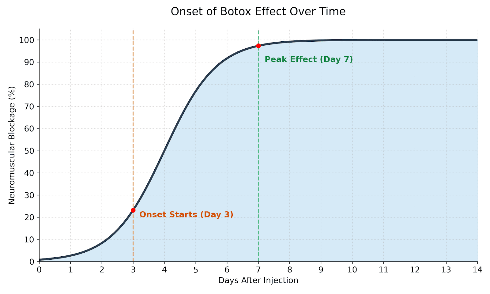 보톡스효과시기그래프