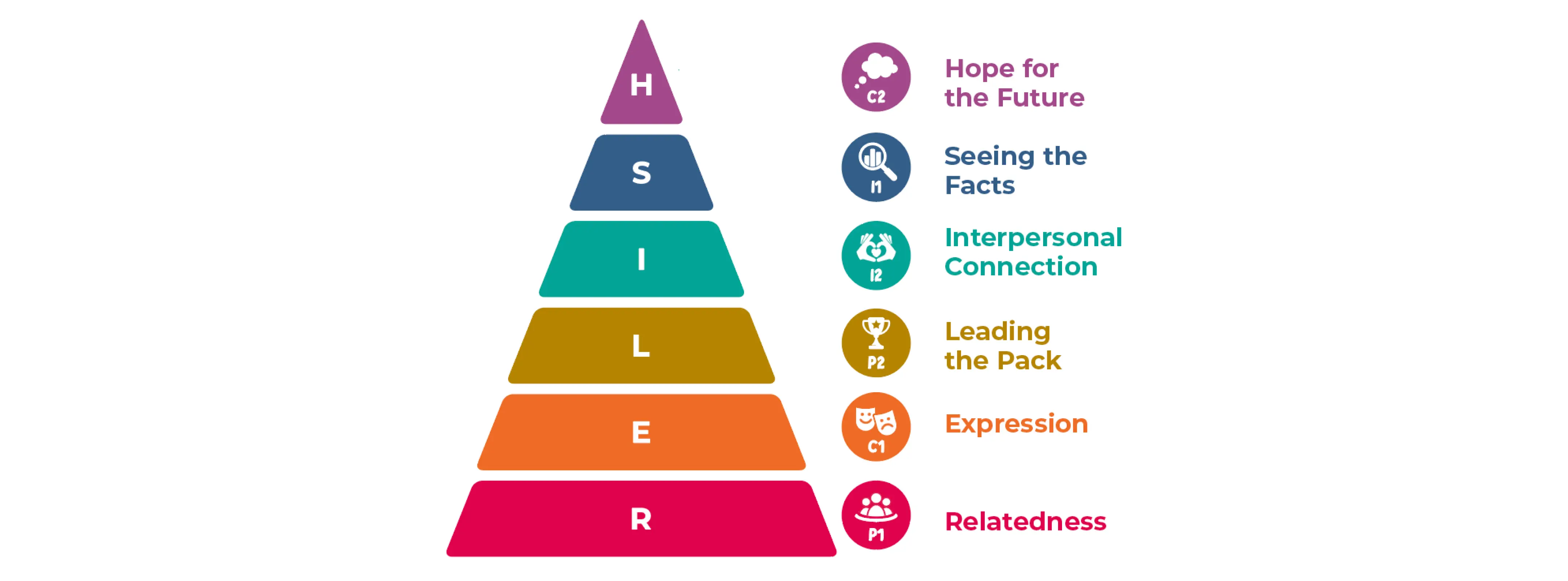 Six Social Cognitive Needs pyramid graphic