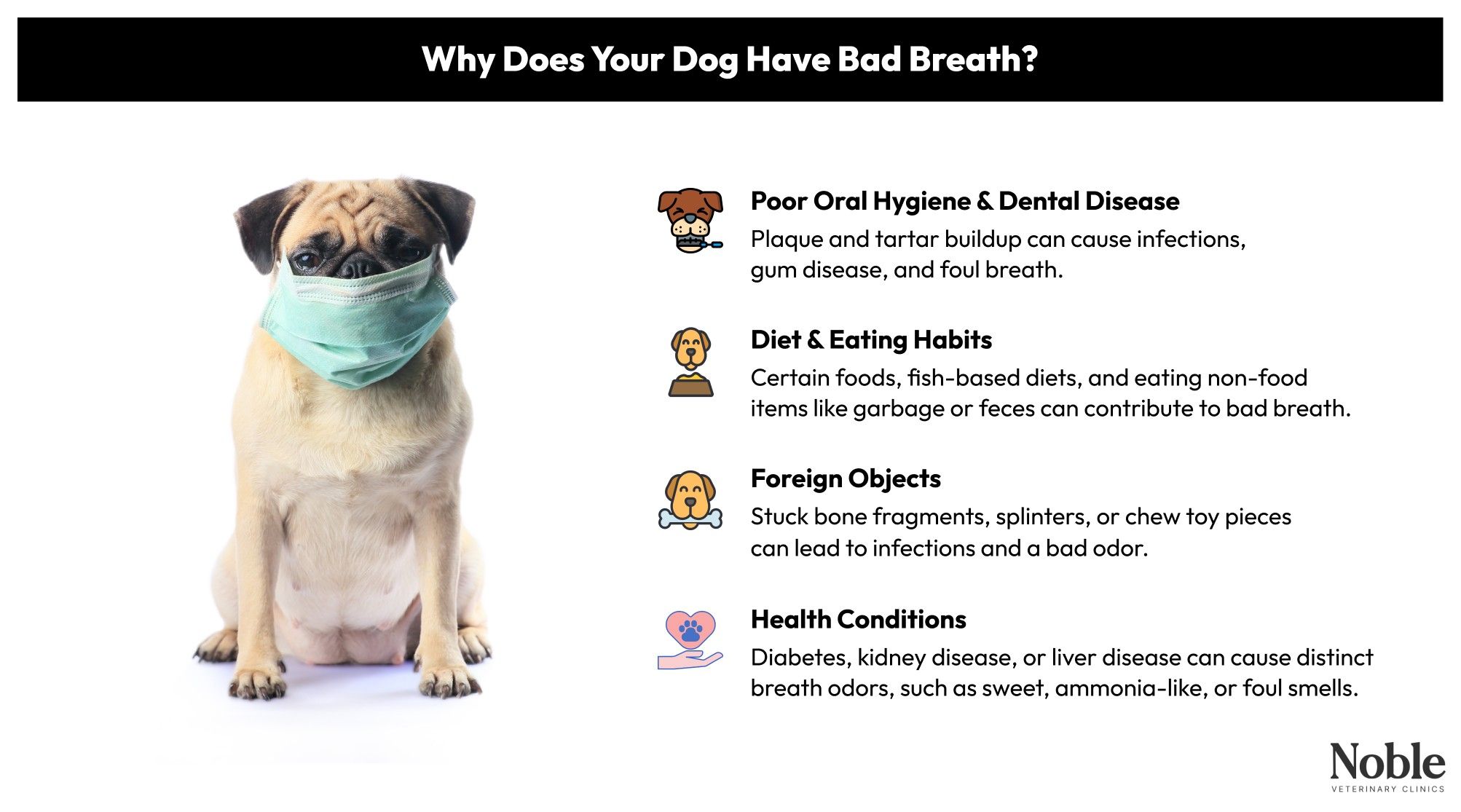 An infographic showing the causes of bad breath in dogs.