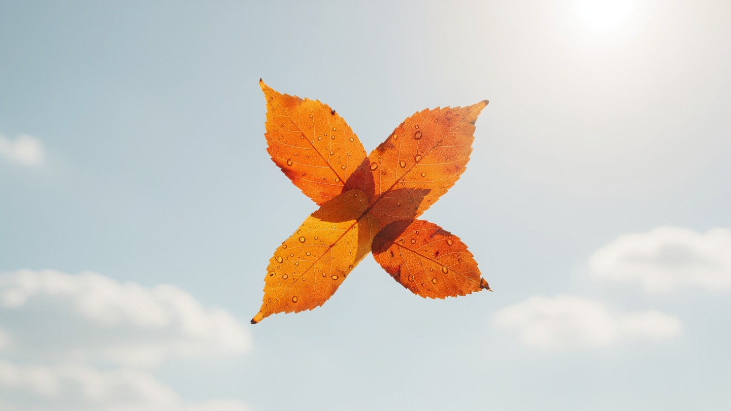 Four orange leaves, each with dew droplets, are symmetrically arranged in a star shape against a soft blue sky with fluffy clouds and warm sunlight.