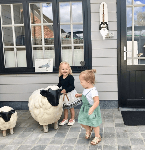kinderen spelen met schaap