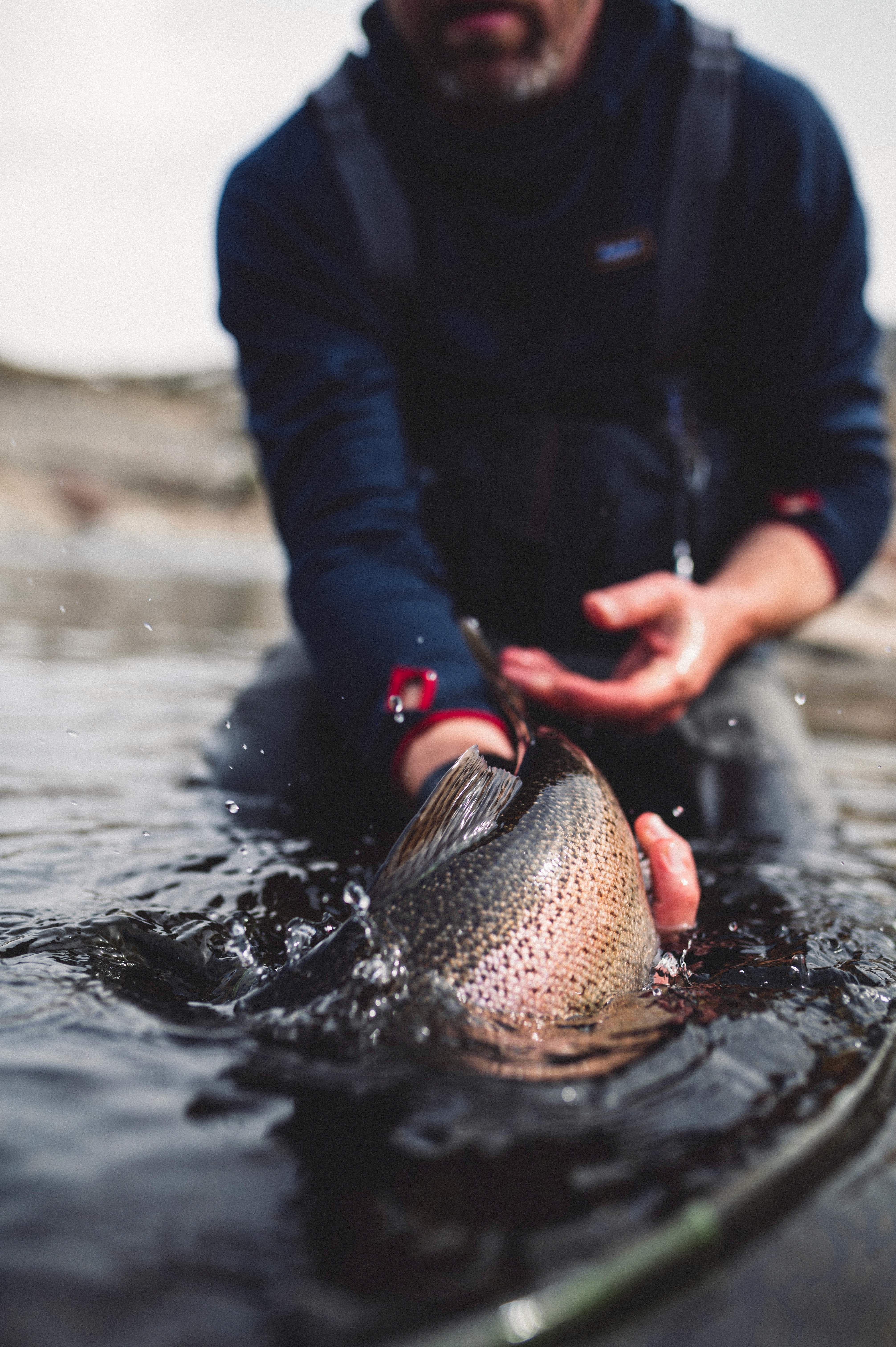 man releasing a large rainbow trout into a river 