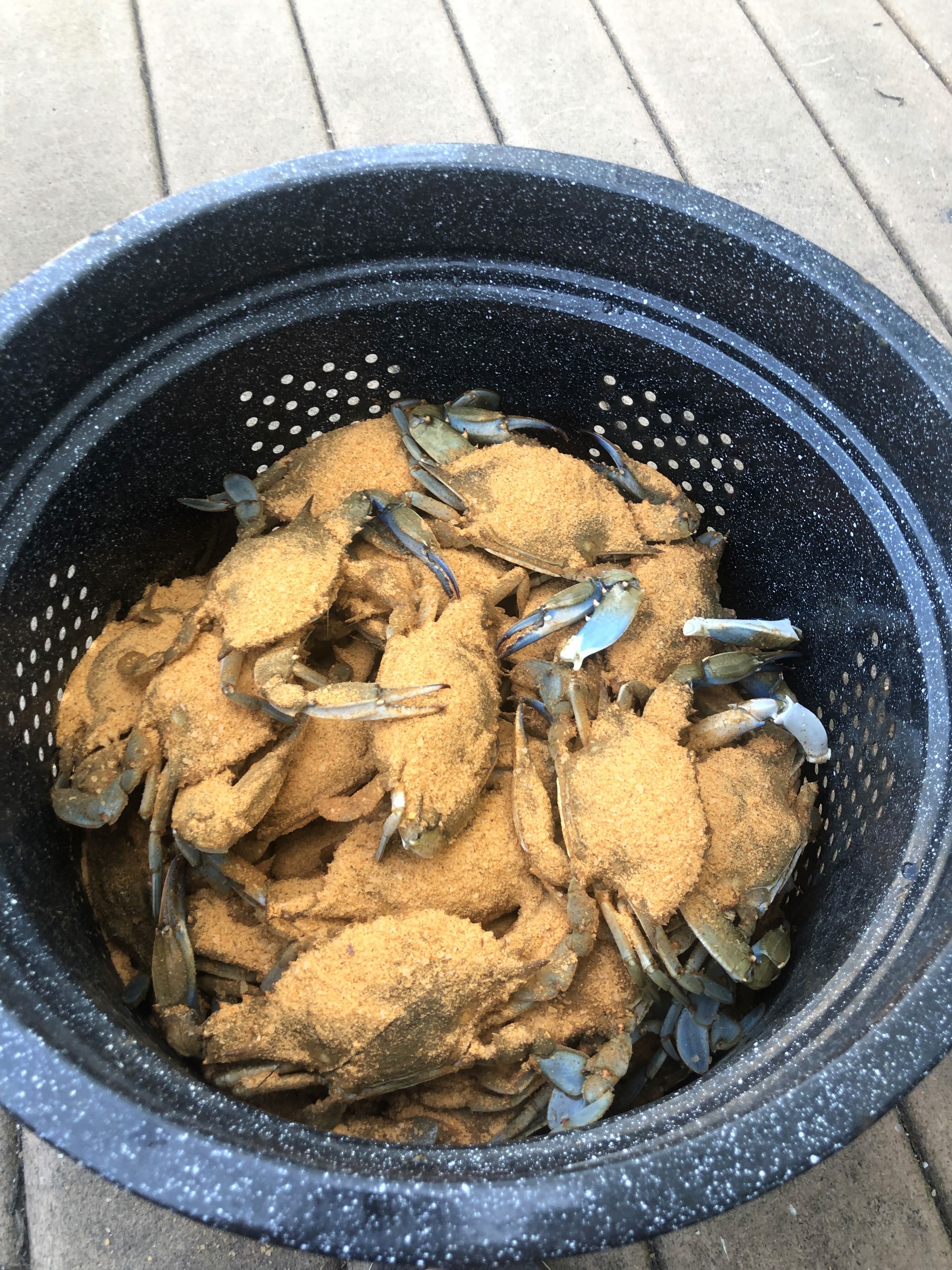 If you live in Maryland then crabs are your thing!