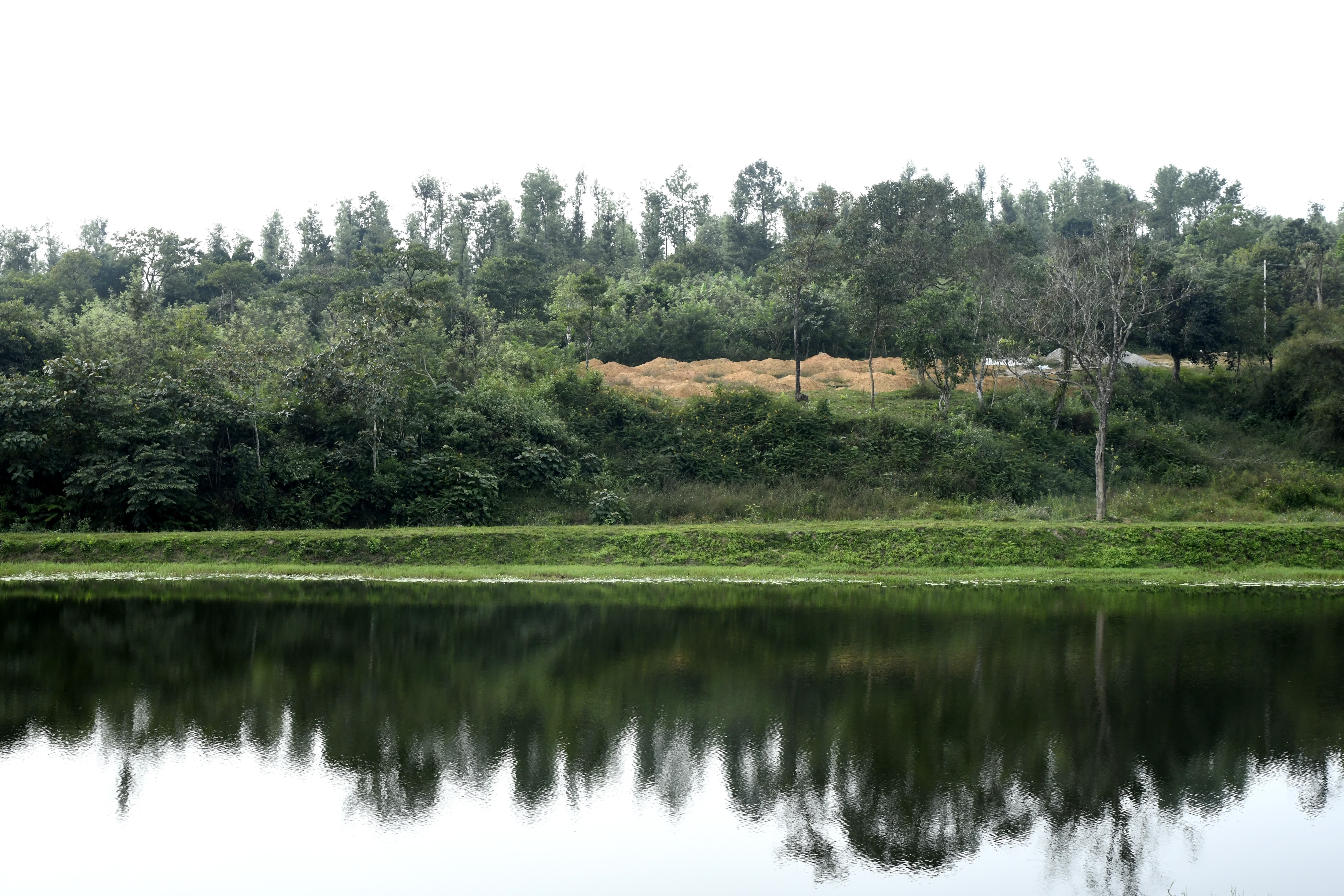 Sannidhi Ecofarms Lake