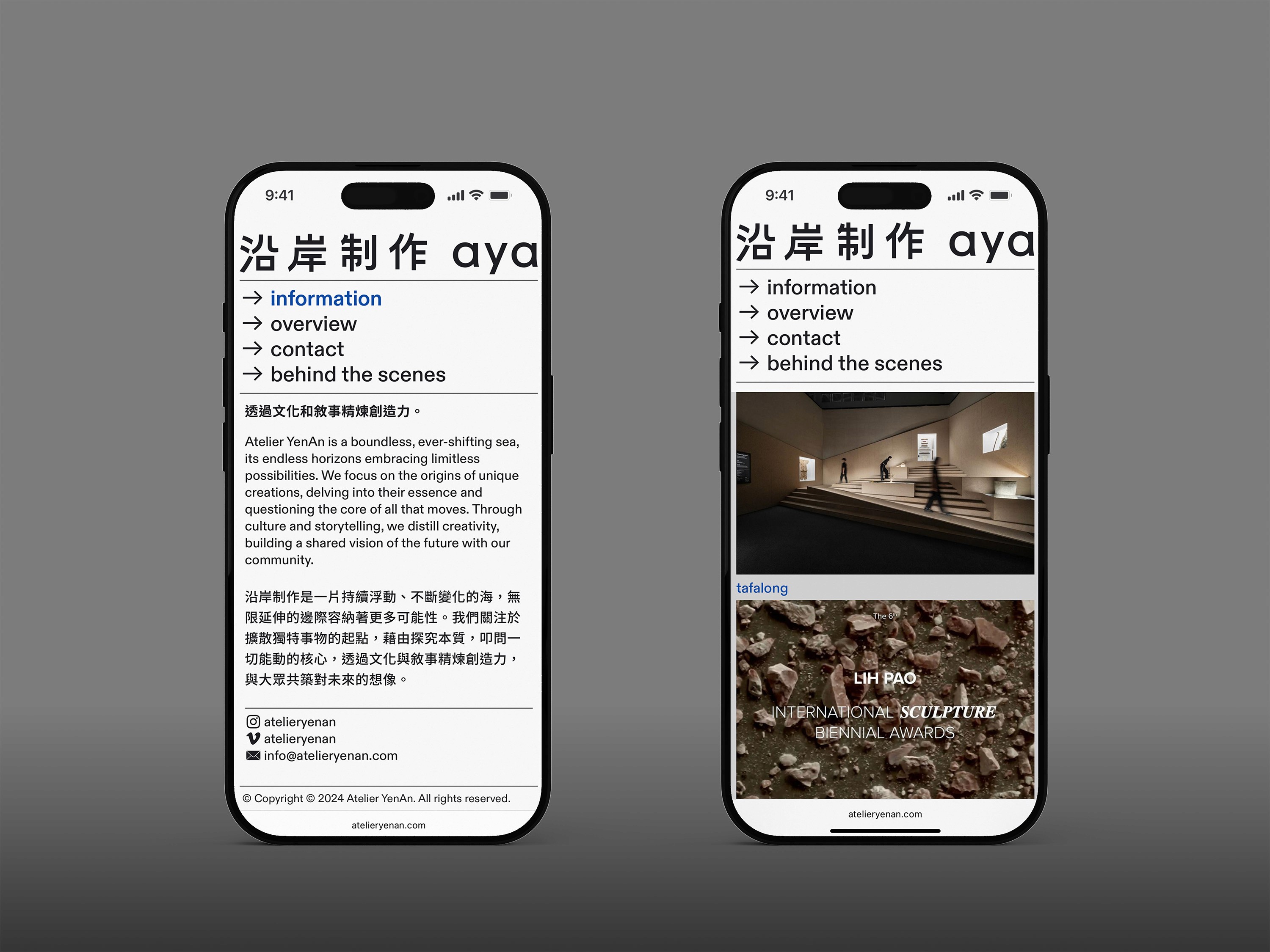 aya-website-5