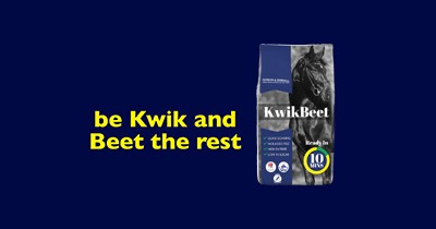 person in black jacket riding brown horse during daytime