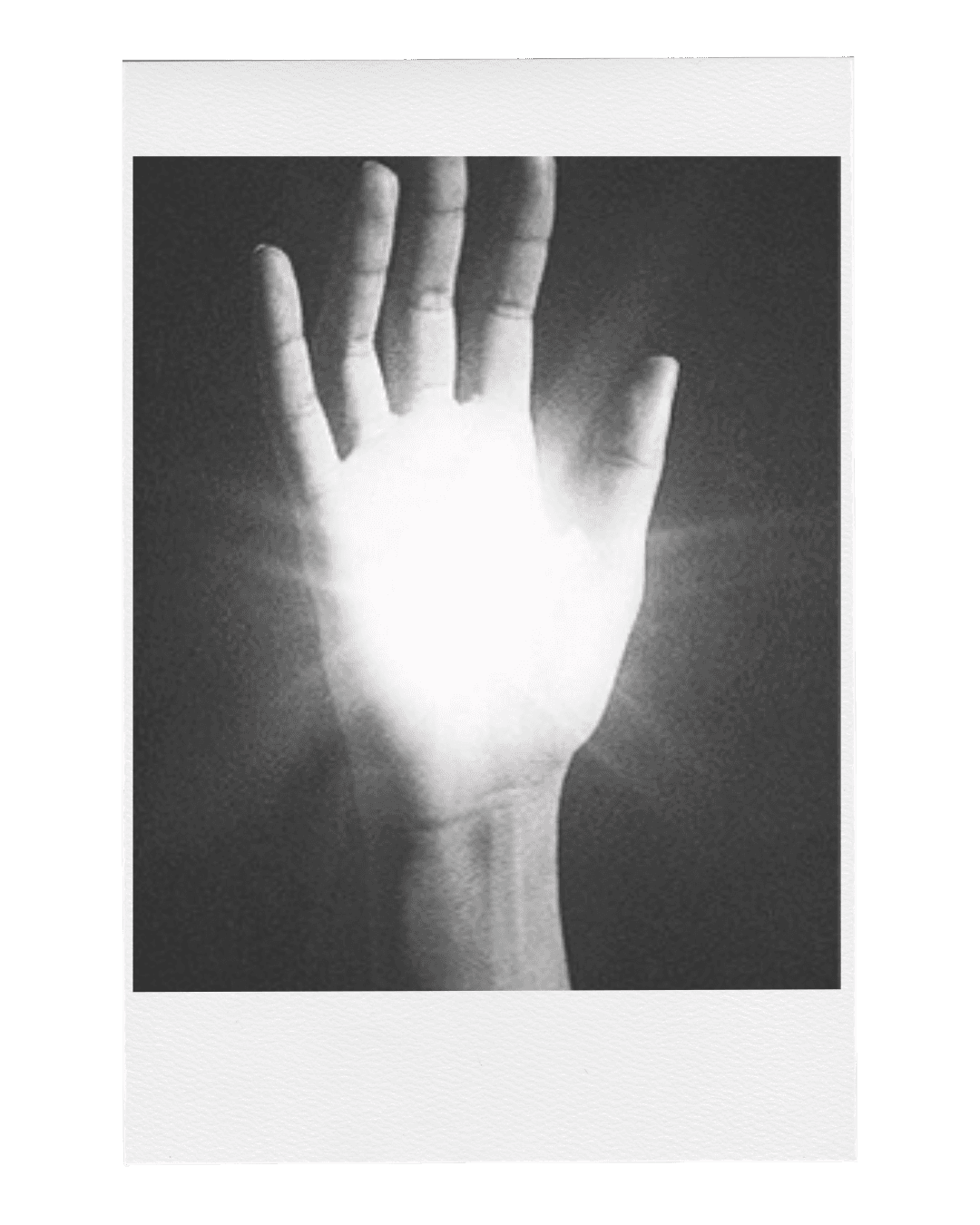 Alto growth primary image