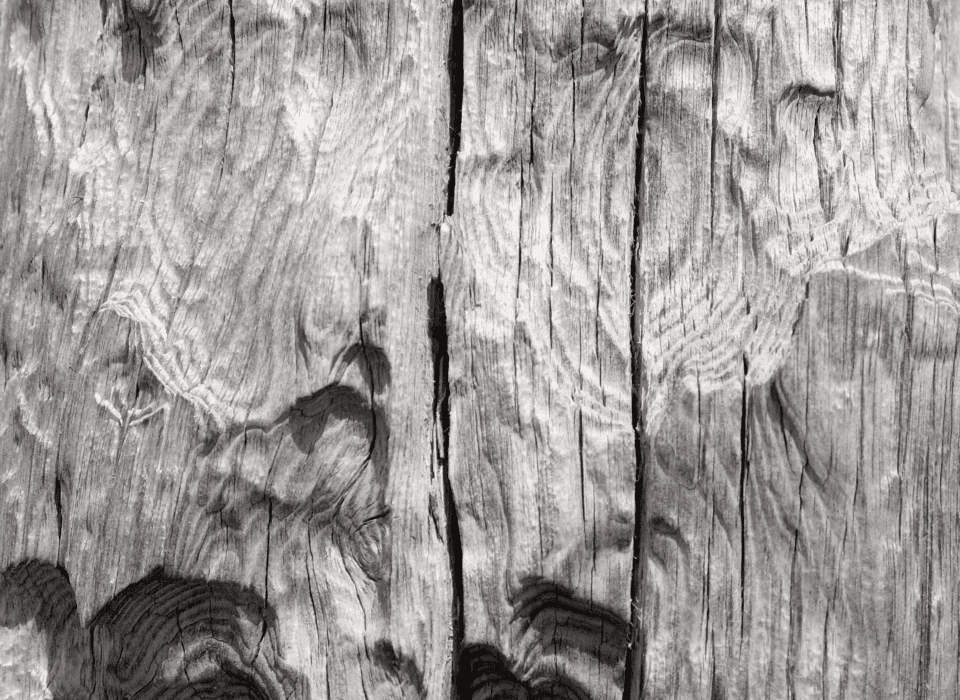 The weather worn and sun bleached wood was the inspiration for the off-white color used in backgrounds and high contrast typography