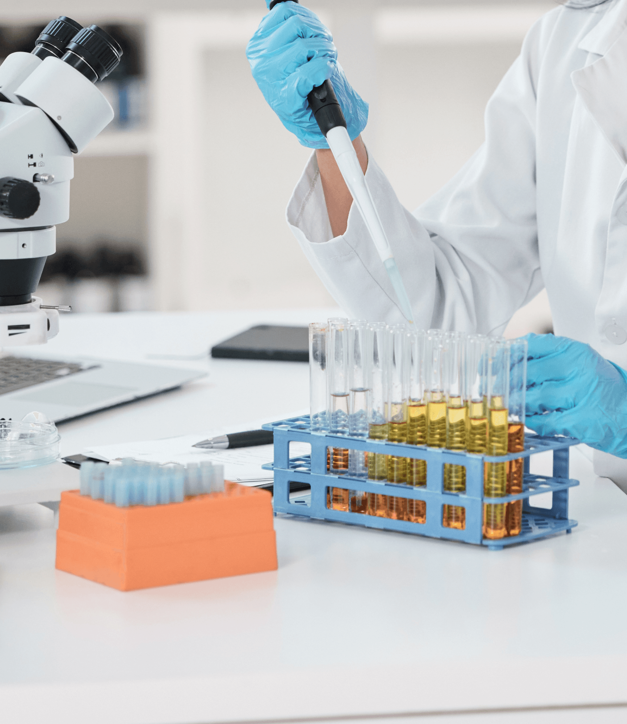 Scientist in lab coat using pipette on test tubes with yellow liquid.