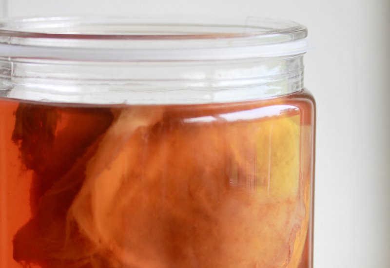 Kombucha