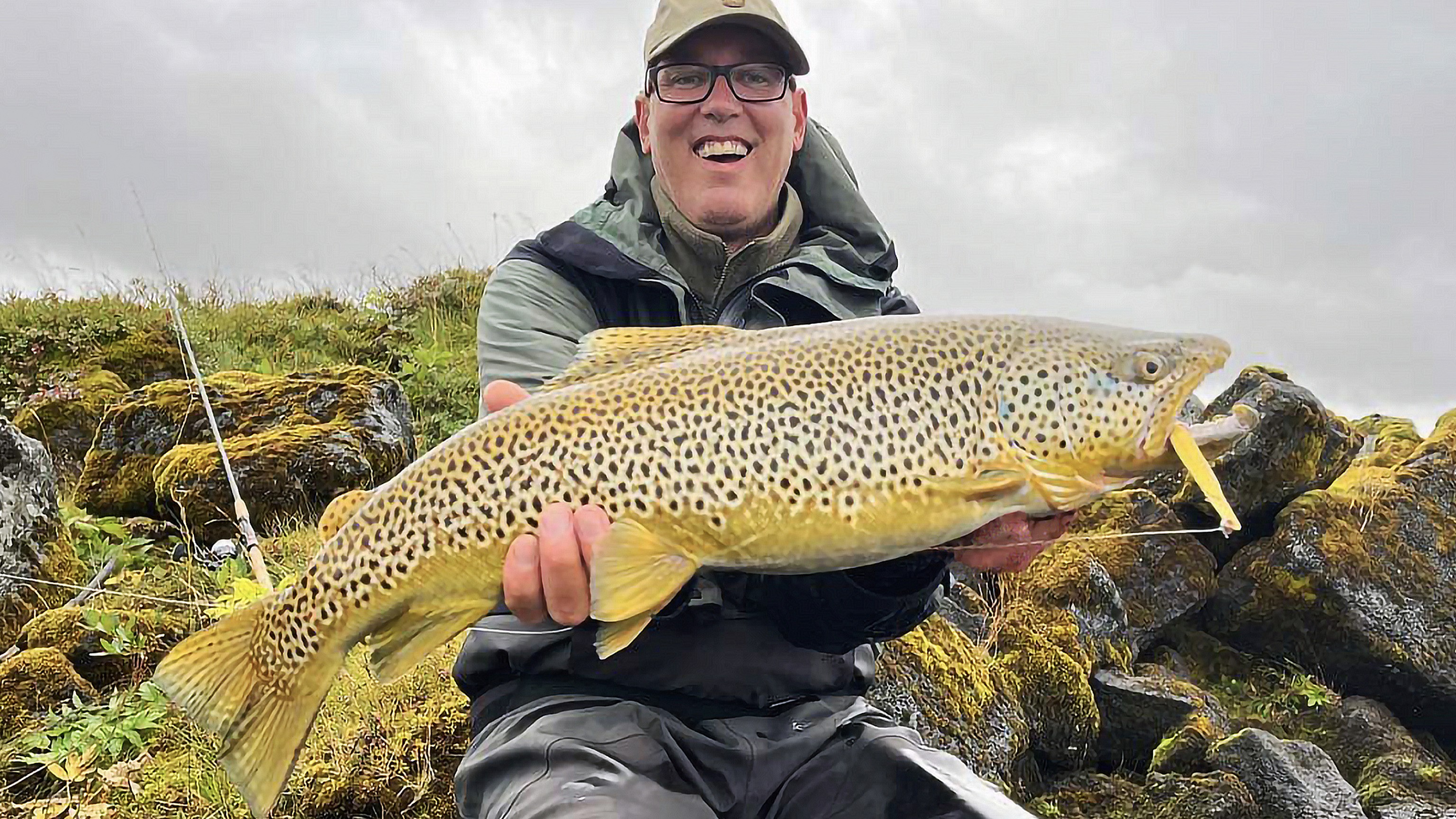 Island, Brown Trout, Arctic char, fjeldørred