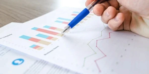 Control de gestion en mypes o pymes
