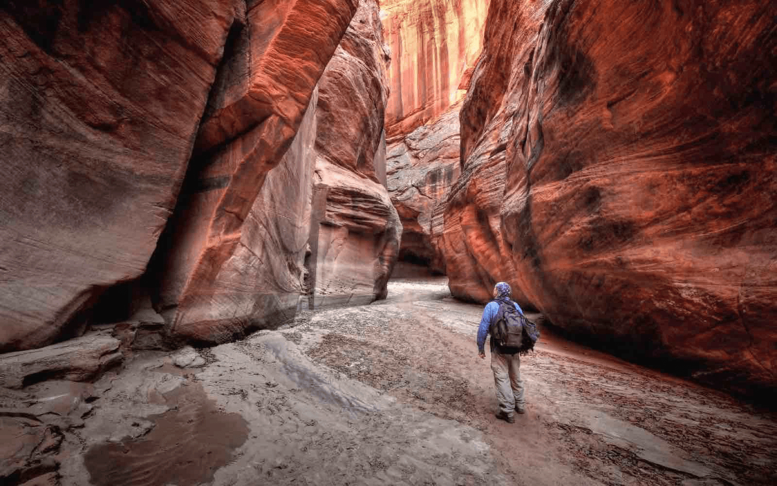 The Grand Canyon, located in Arizona