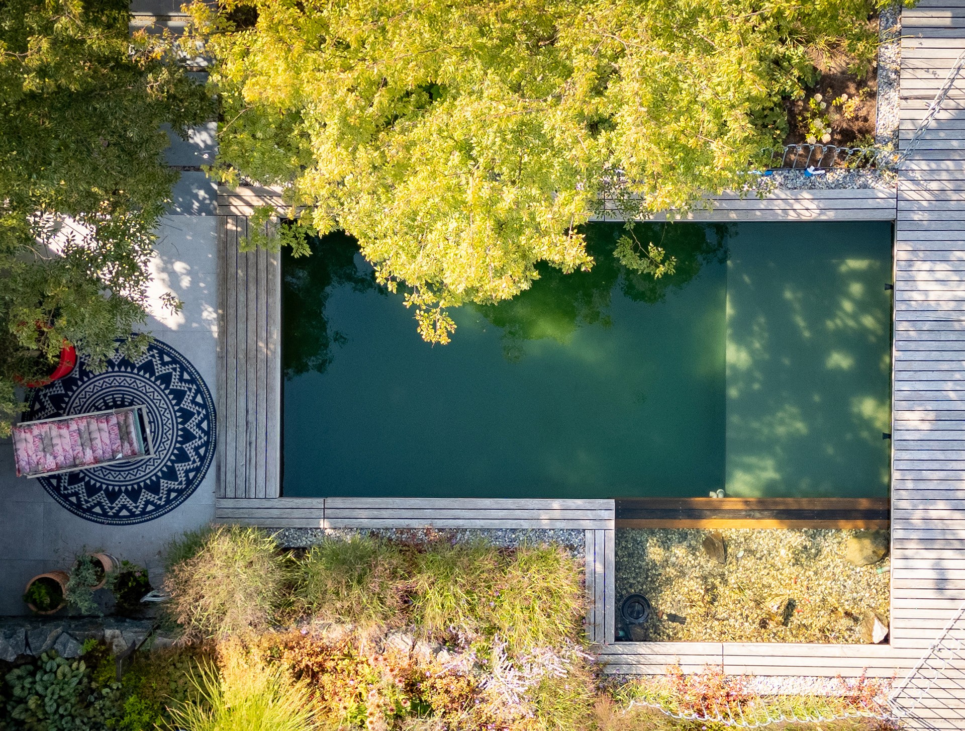 Luftaufnahme eines natürlichen Schwimmteichs mit Holzdeck, Kieszone und umliegender Gartenbepflanzung.