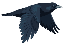 Crow