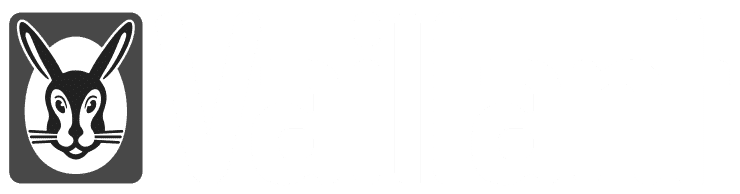 Vaillant Logo