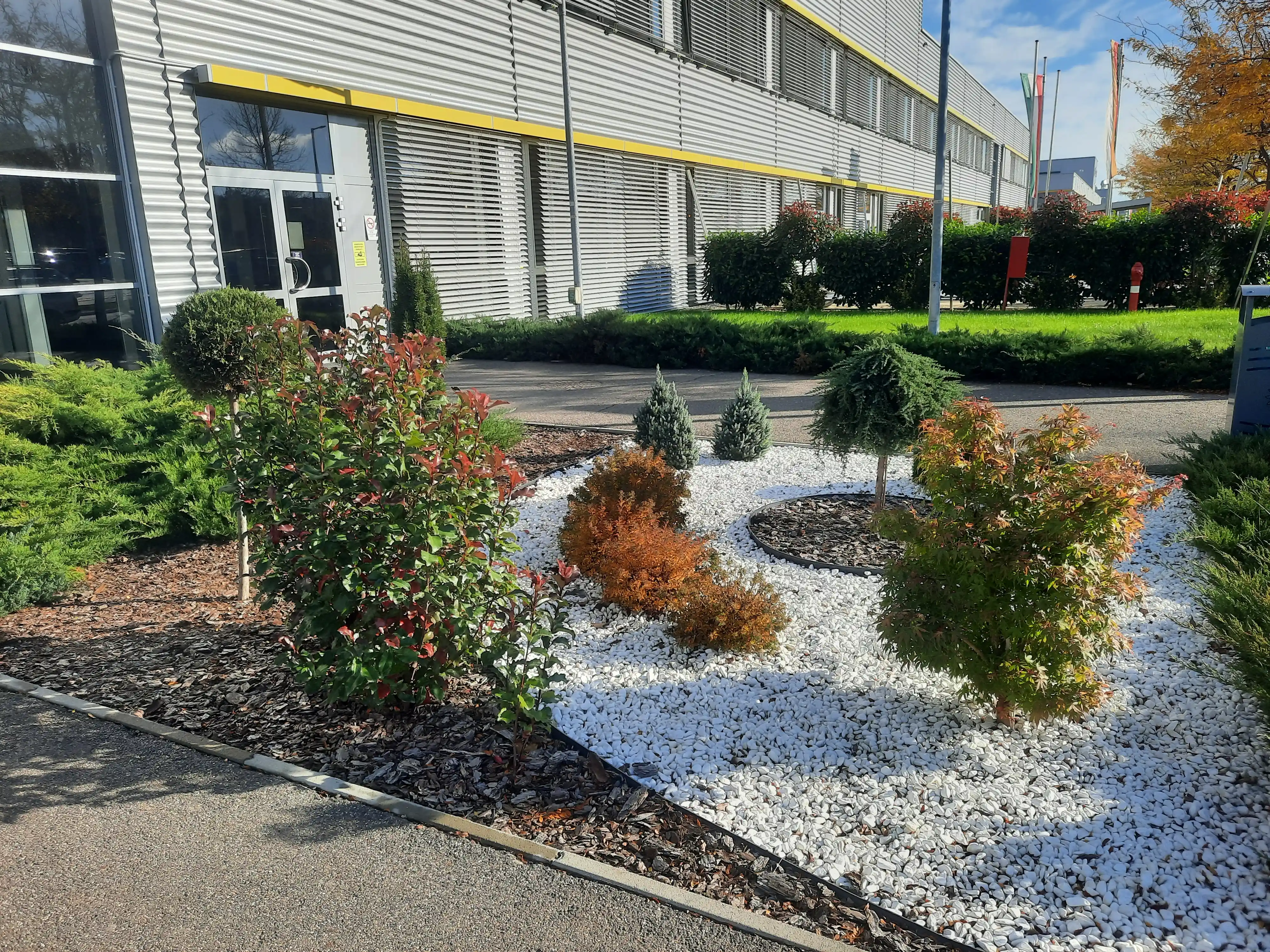 Vállalati zöldfelület díszcserjékkel és kavicsburkolattal