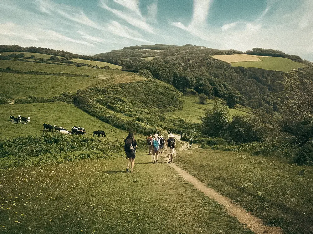 Cozy reading nook with sofa, chair, and plants inside a glass cabin with mountain forest views.