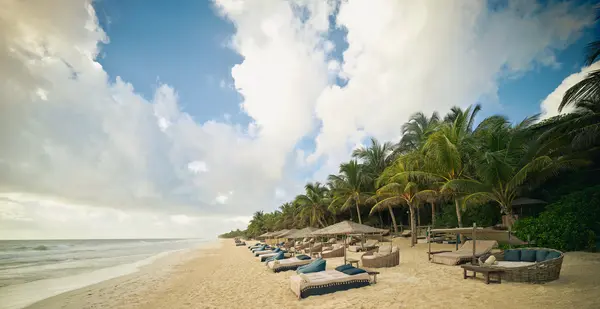 Restaurante Maresias Beach Club en Be Tulum: frente a la playa con camastros, sombrillas, rodeado de palmeras y una atmósfera selvática.