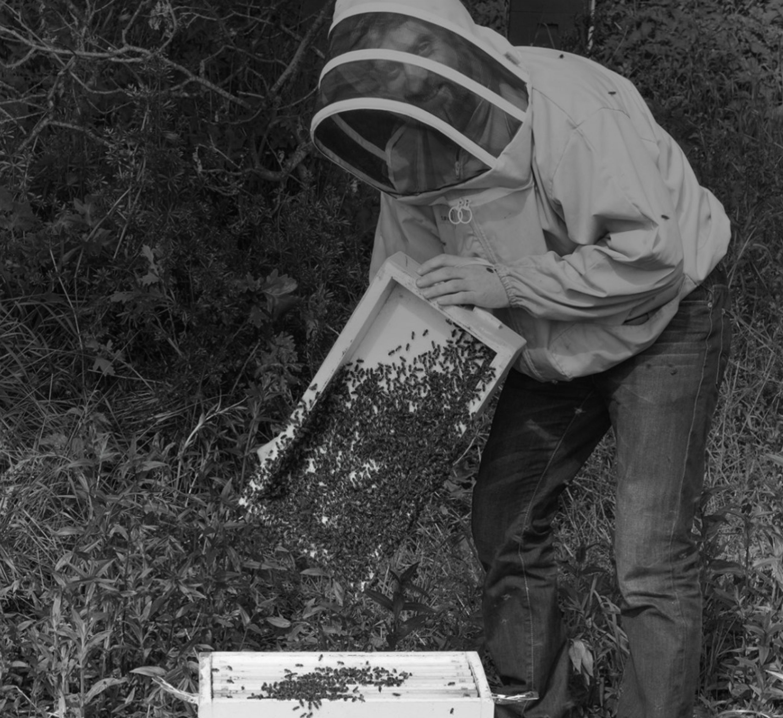 Owner of Ollys Farm caring for the bees while supplying their goods to As One Restaurant Dubliln