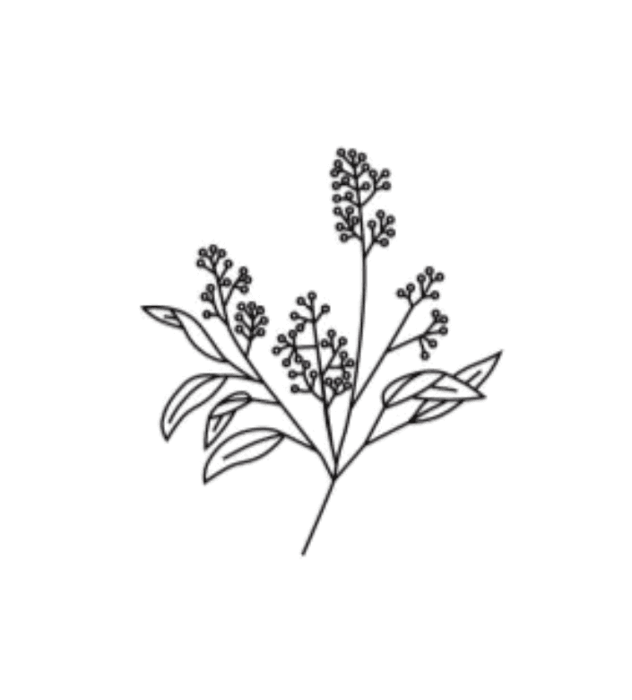 Coffee image for headline