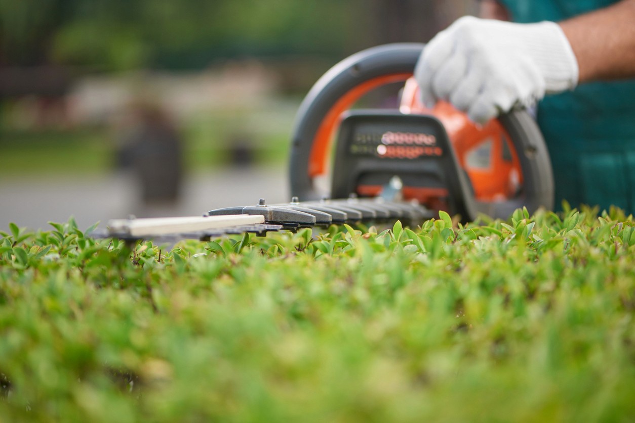 hedge cutting