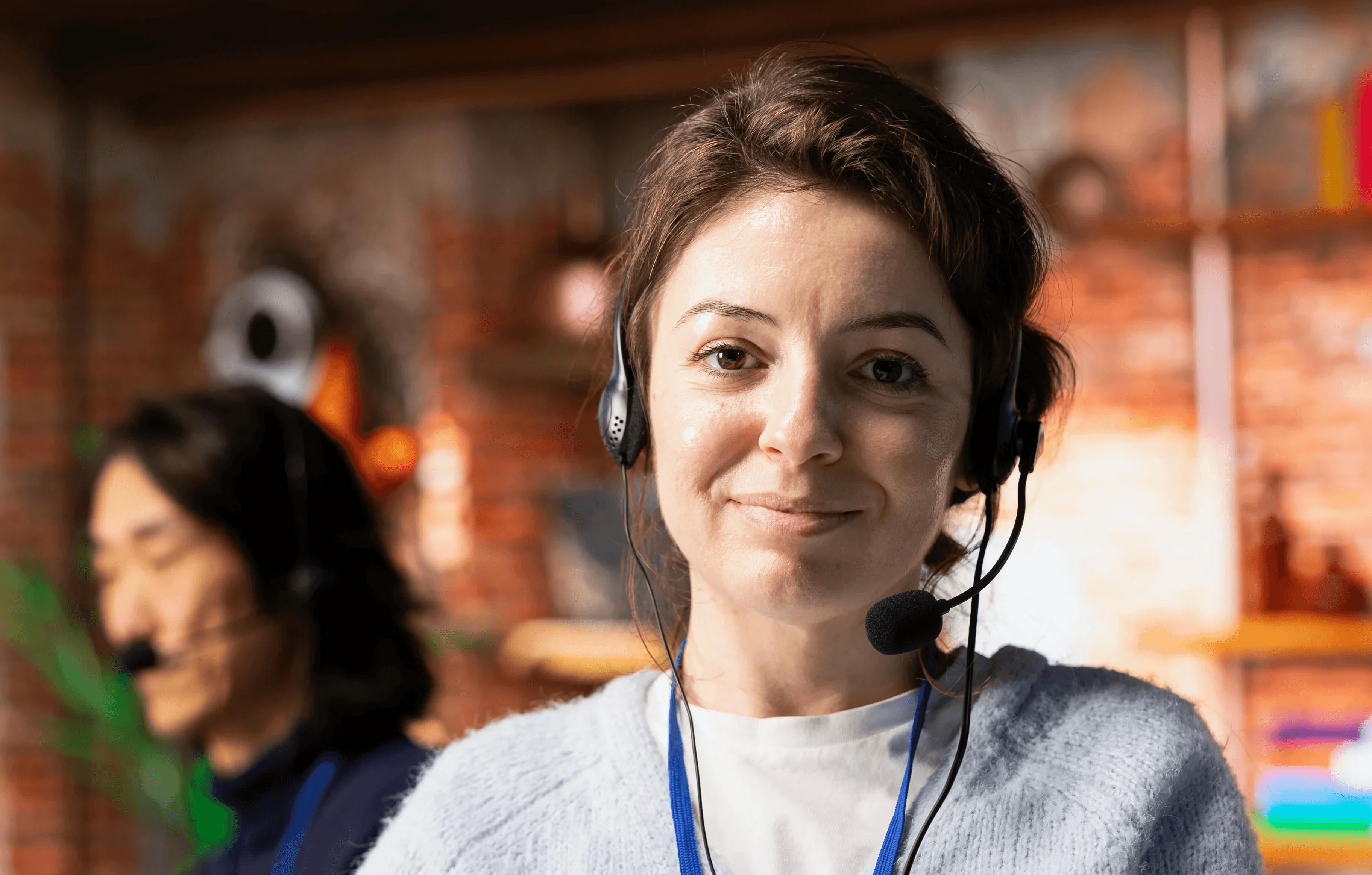 An image of Freelio's project ui