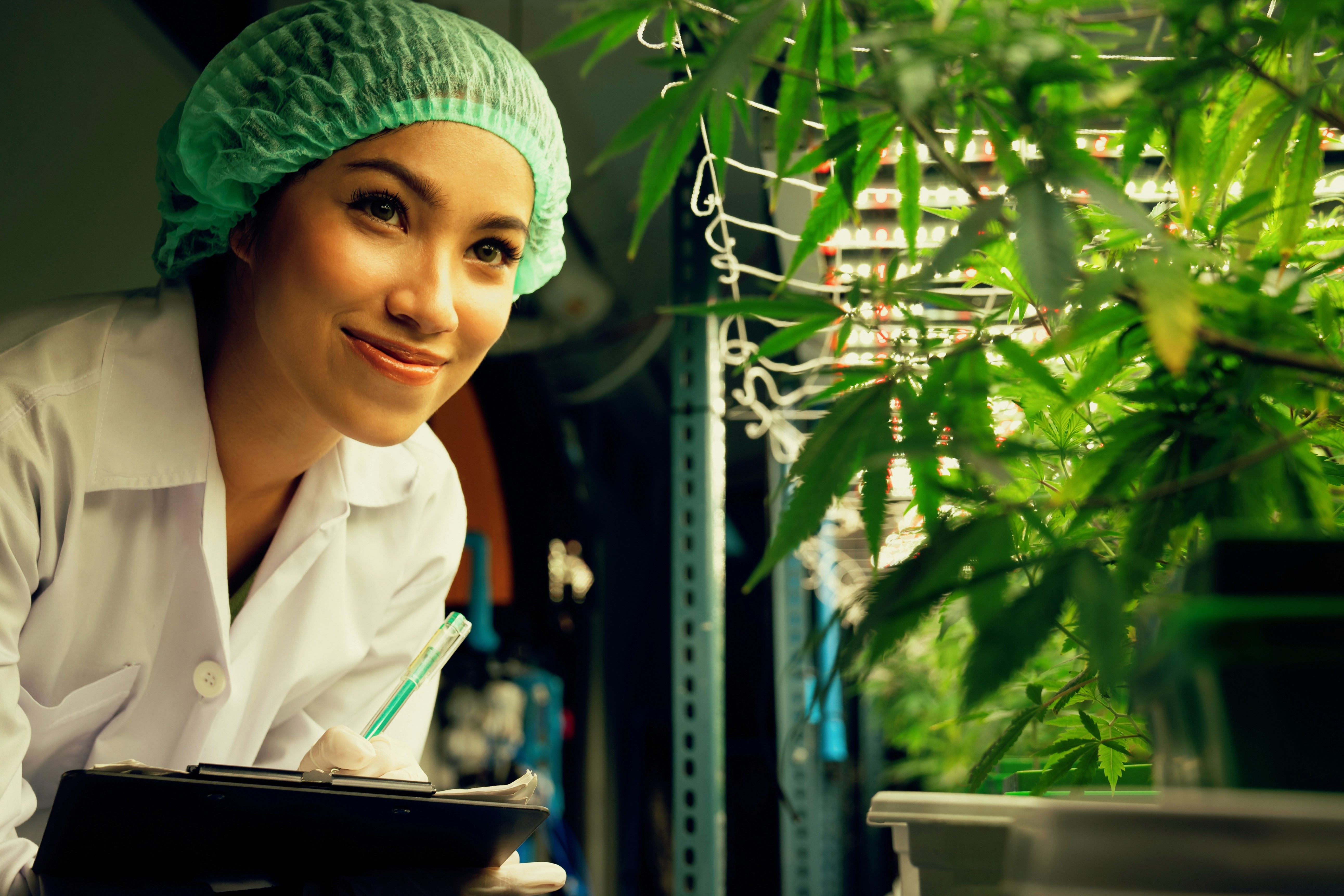 Bachelor of Ayurvedic Medicine and Surgery (BAMS) representing an Ayurvedic medical student or practitioner examining medicinal plants in a clinical research setting.