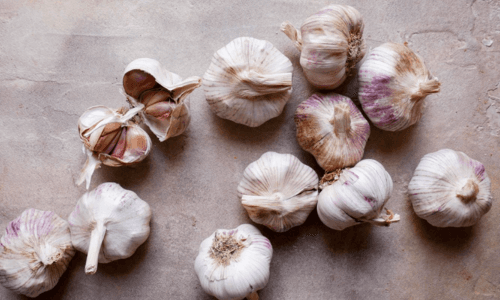 garlic
