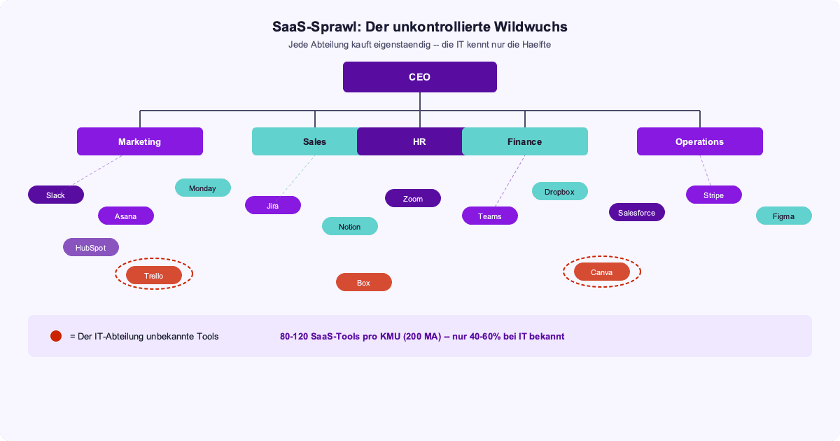 SaaS-Sprawl Visualisierung