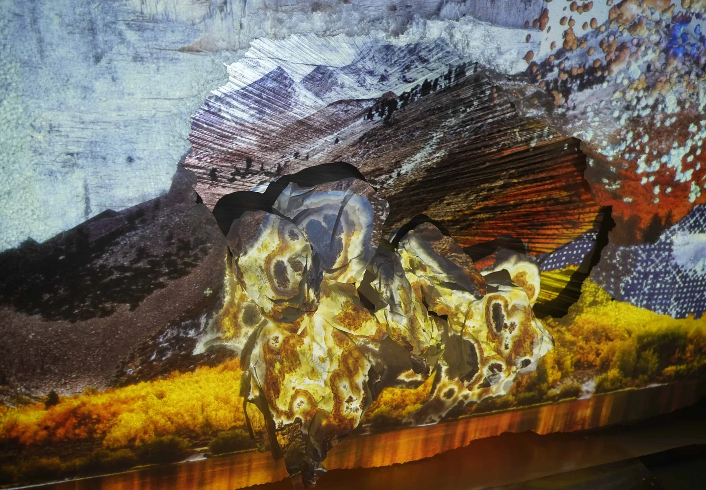 Photograph. Giclee print 100 x 150 cm. Solo show. Gallery Susanne Ottesen, Copenhagen 