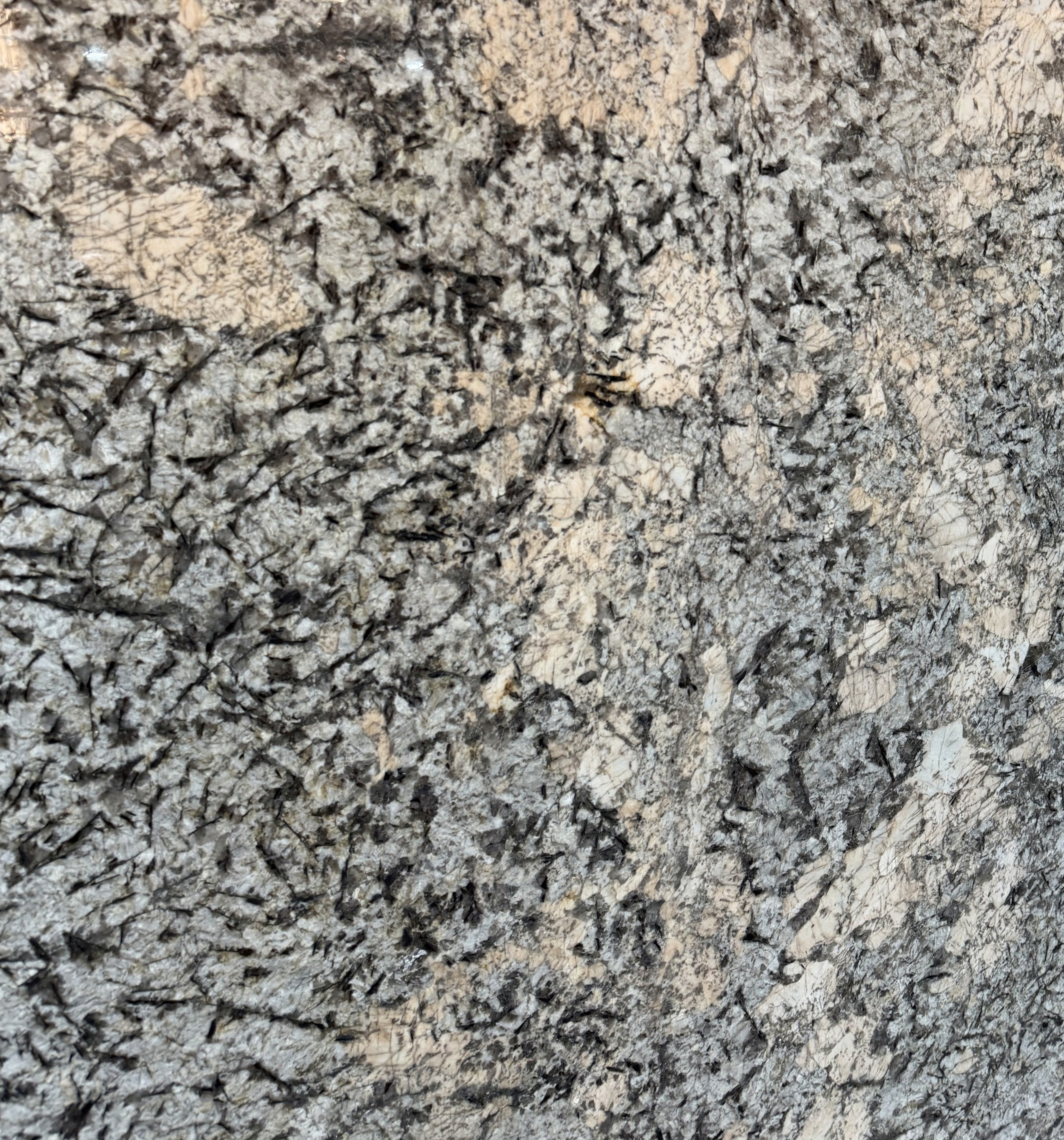 Desert Gray exklusive Granit bei Uniiqo Naturtsein Berlin