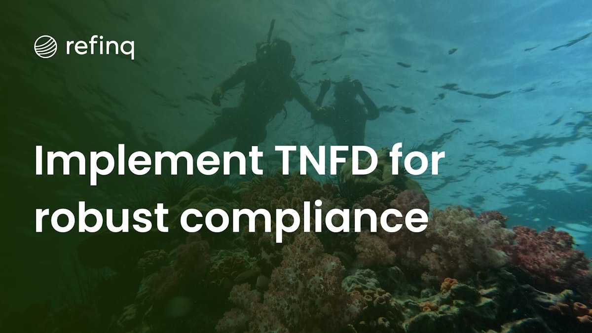 TNFD