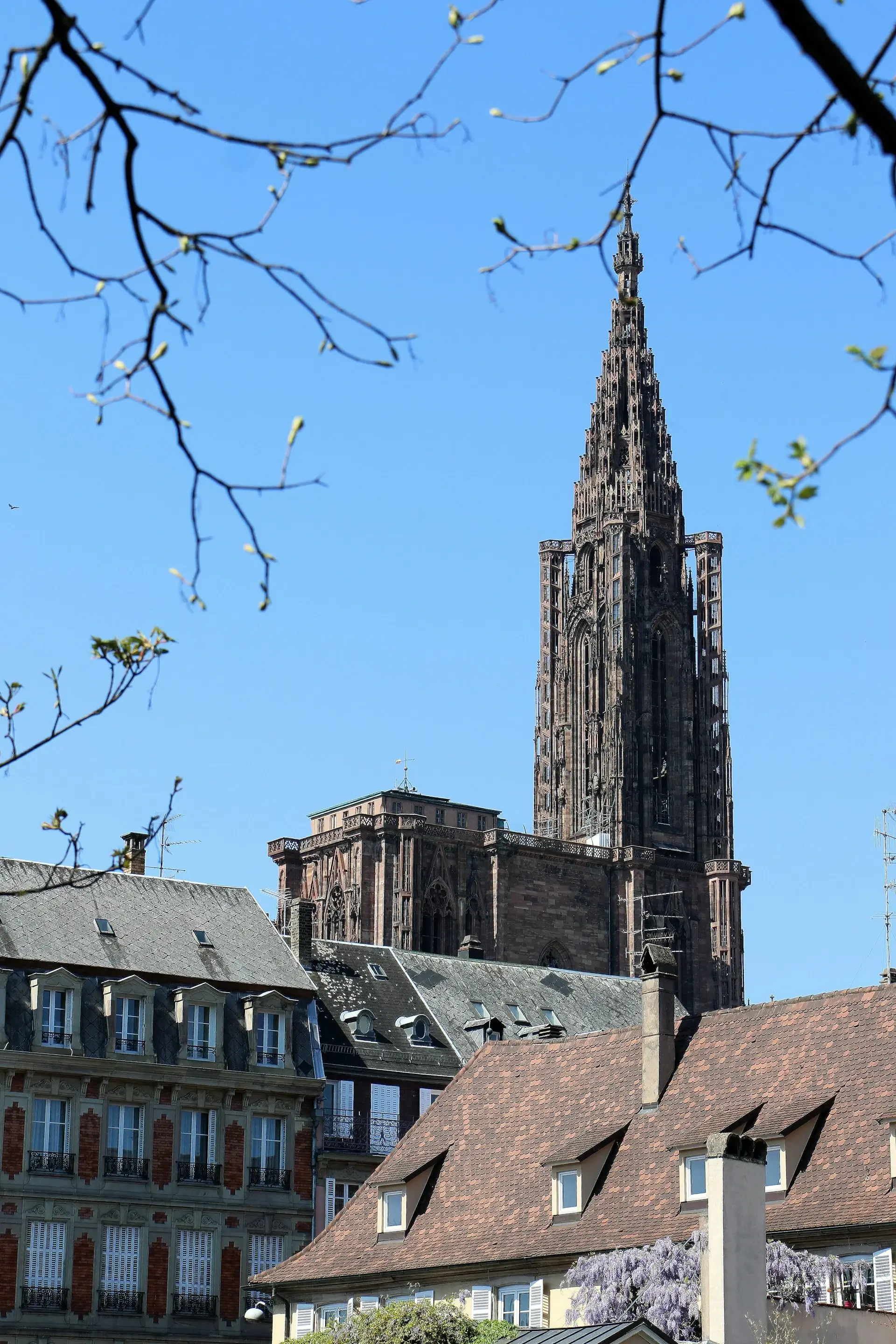Cathédrale de Strasbourg demenagement longue distance