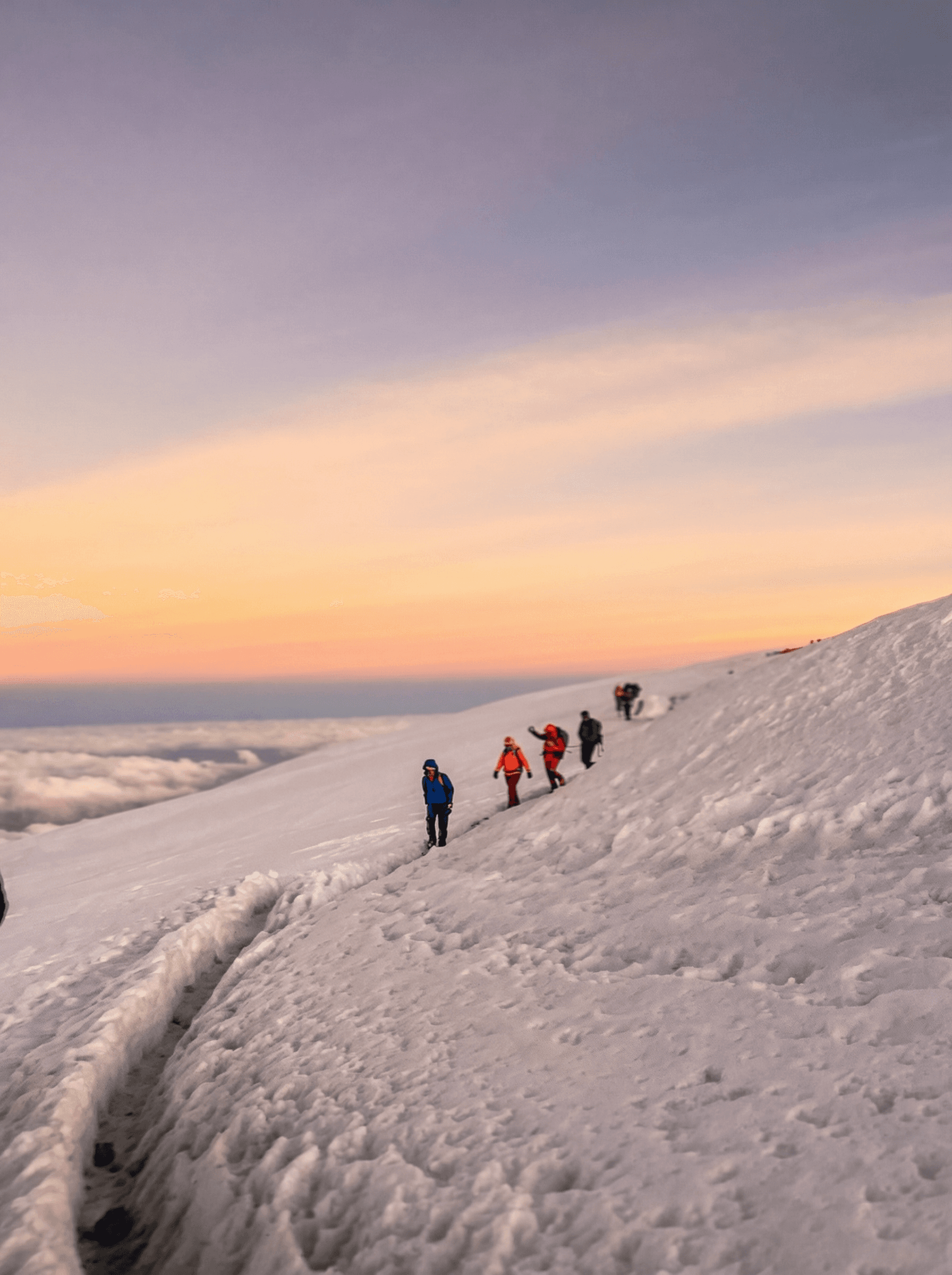 Collection of AlUla desert landscapes — golden dunes, sandstone cliffs, and authentic travel moments captured under natural light.