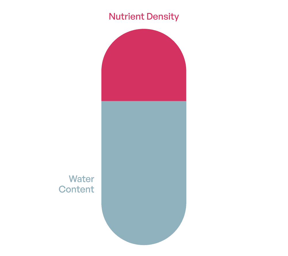 Illustration showing high water content lowering nutrient density in small-dog meals