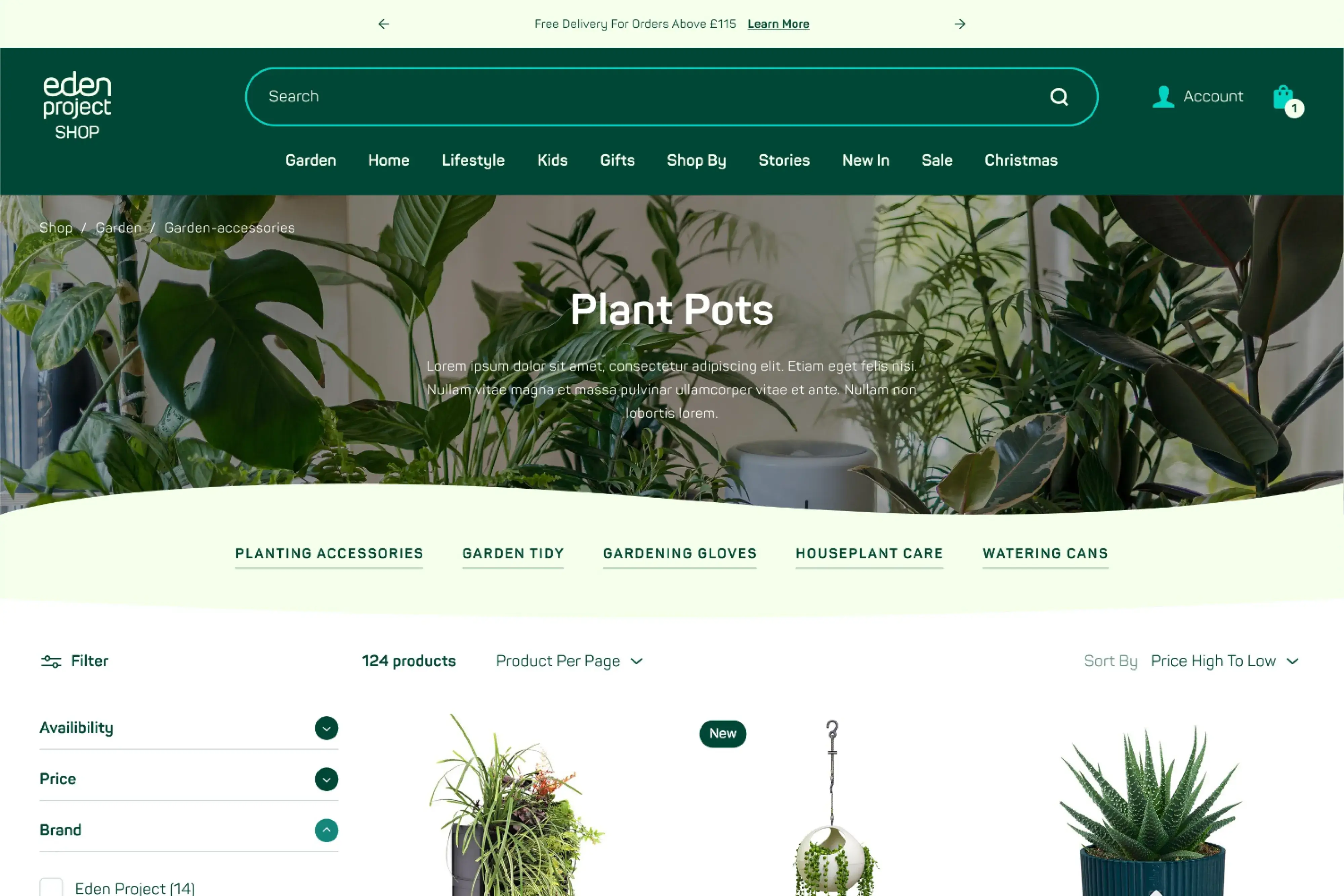 a group of white flowers with yellow centers