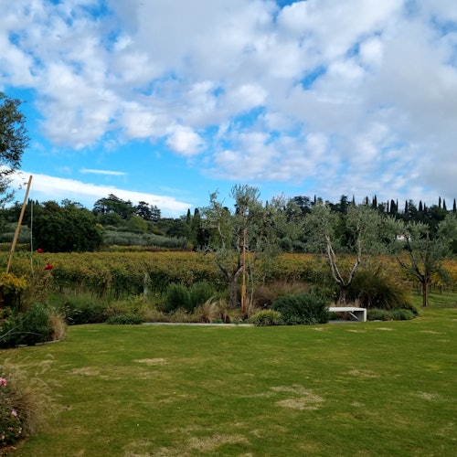 Panoramic view & vineyards