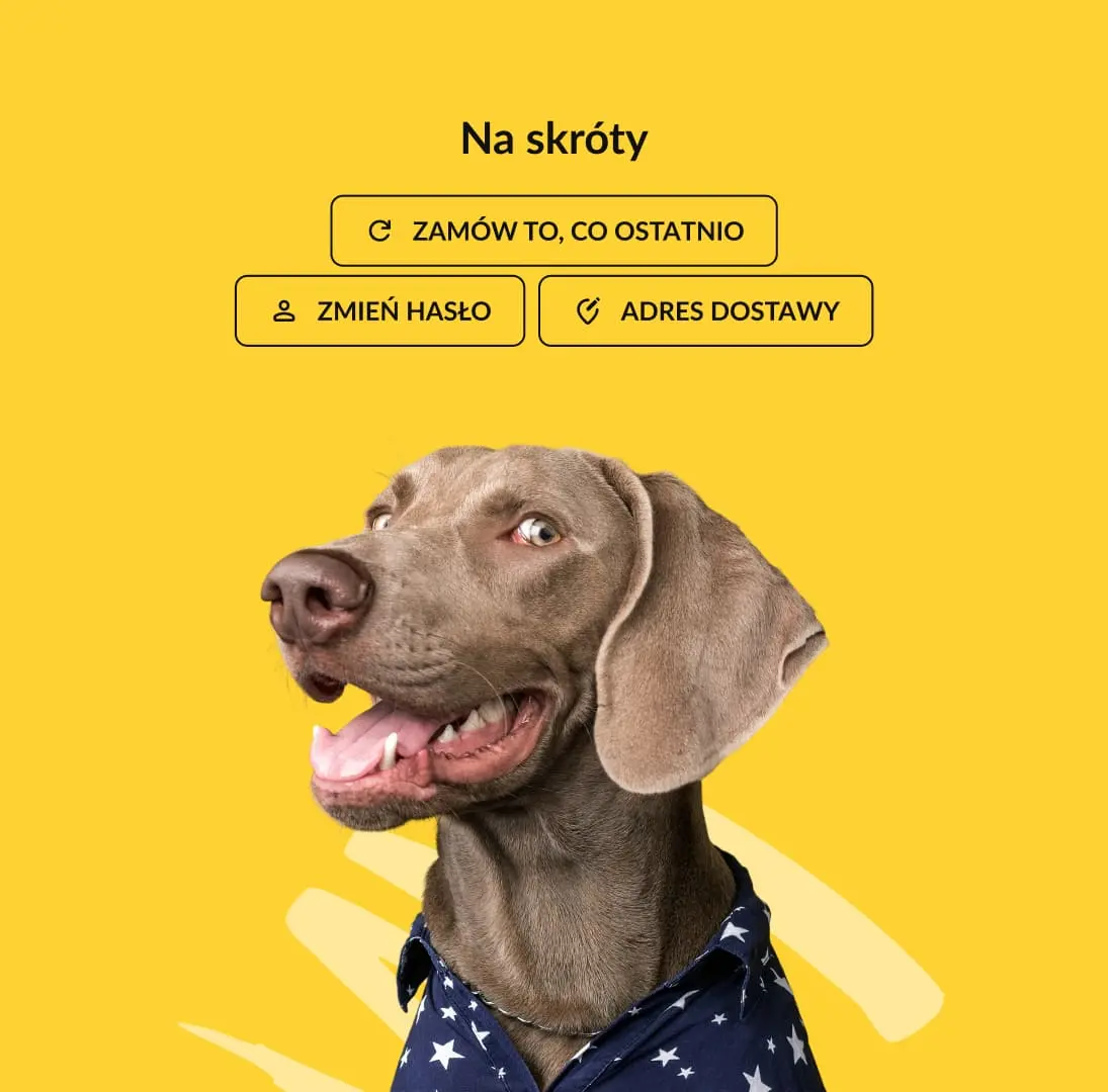 "Shortcuts" section design on a bright yellow background, featuring a large image of a dog in a patterned shirt below buttons for reordering and profile management.