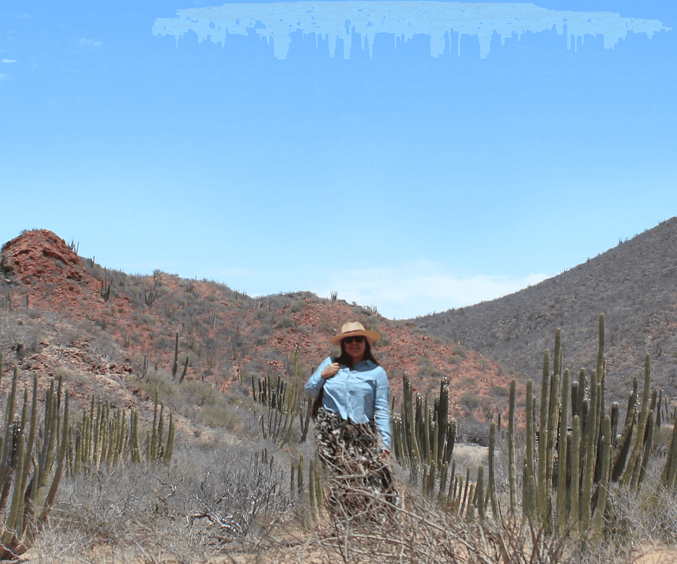 Illustradora y creadora de jornaling