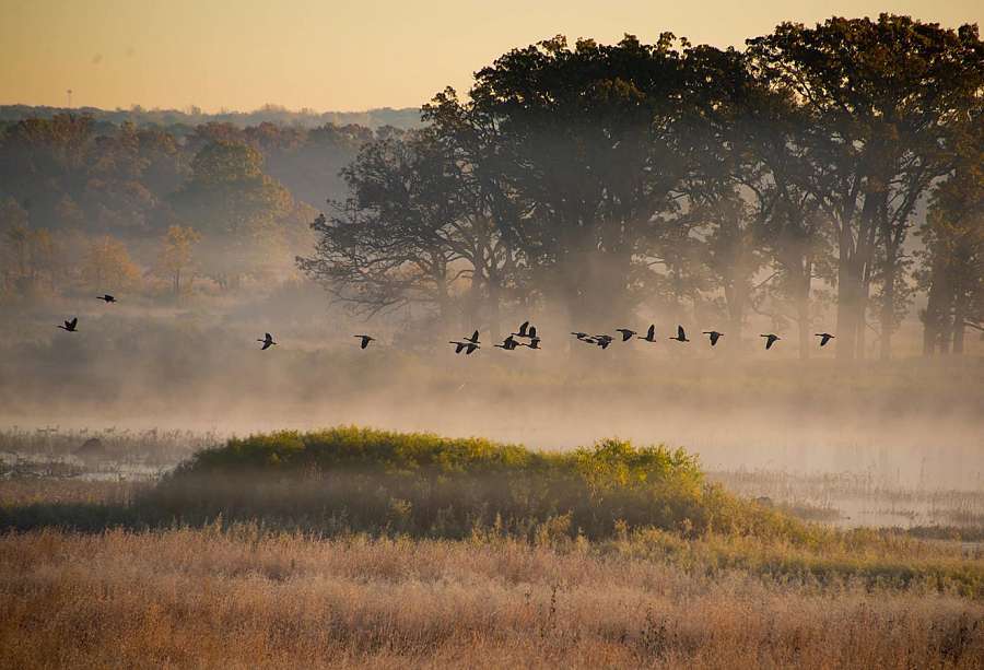 Photo By: Ducks Unlimited