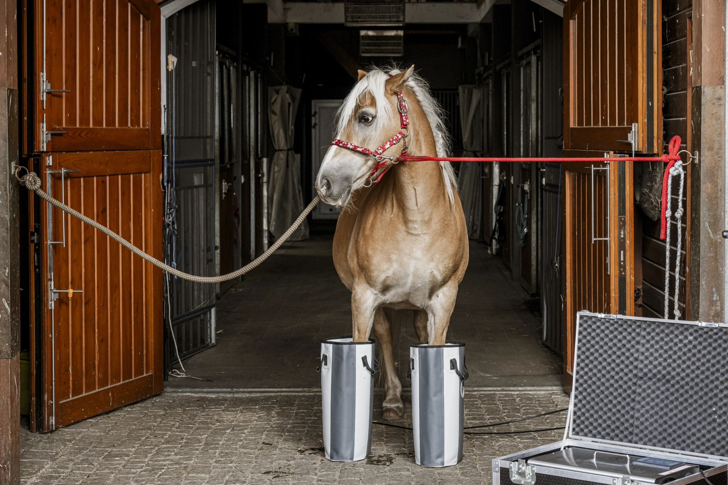 Urządzenie HorseLab w użyciu – fotografia produktowa w naturalnym środowisku stajni