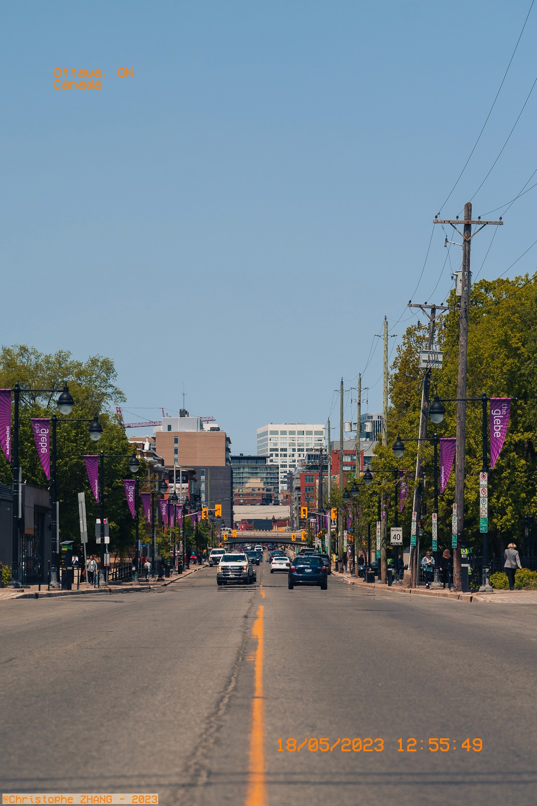 Avenue principale dans le quartier Glebe à Ottawa, bordée de bannières violettes et d'arbres.