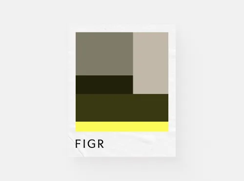 Figr project visual