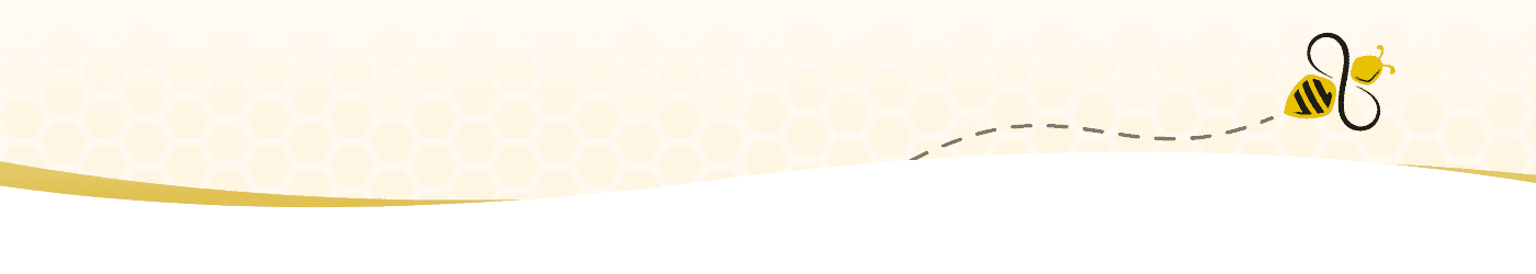 Manchester Counselling section divider