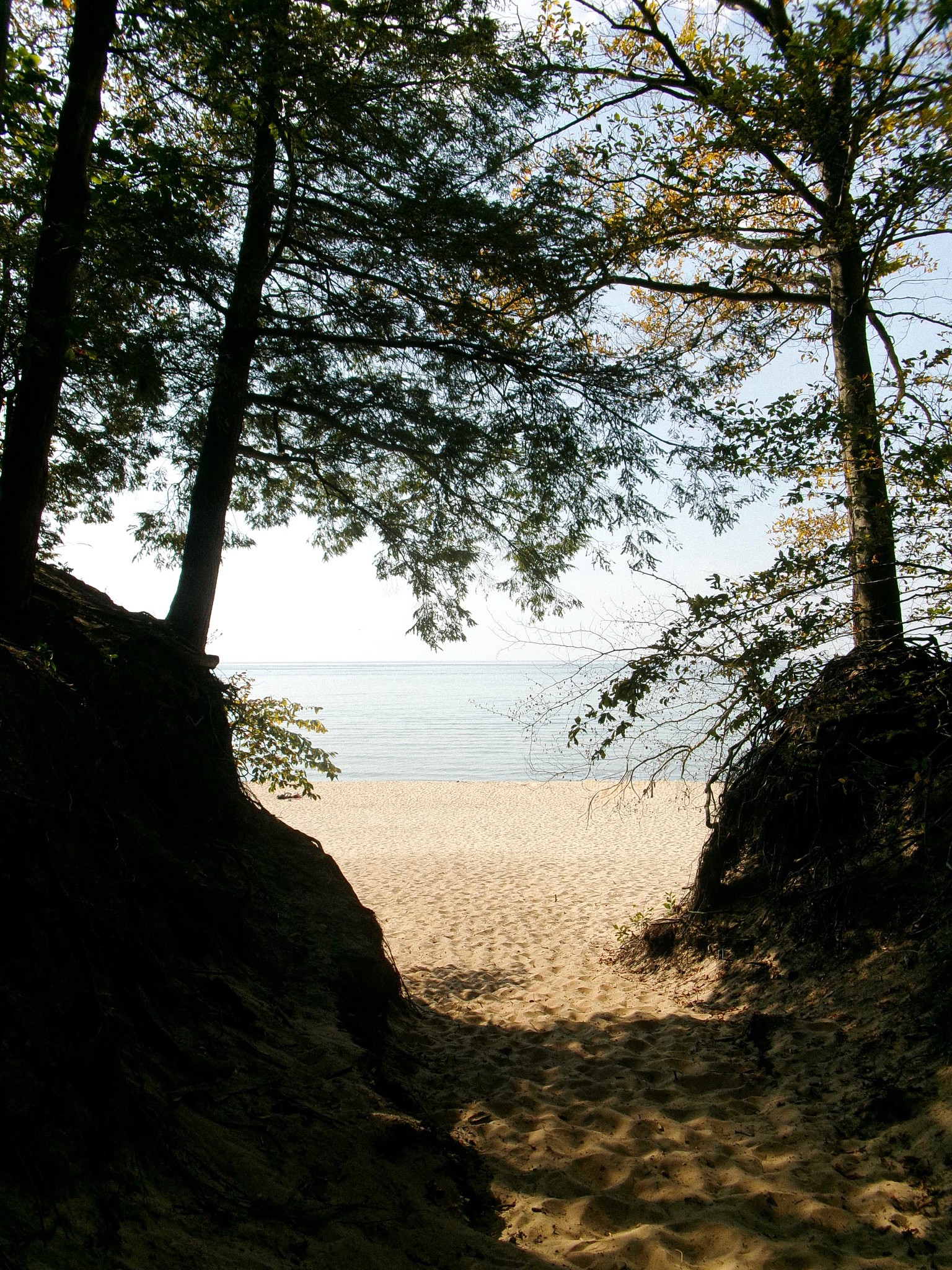 The image featured at the top of the about us page #1